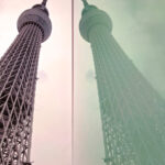 SKYTREEs